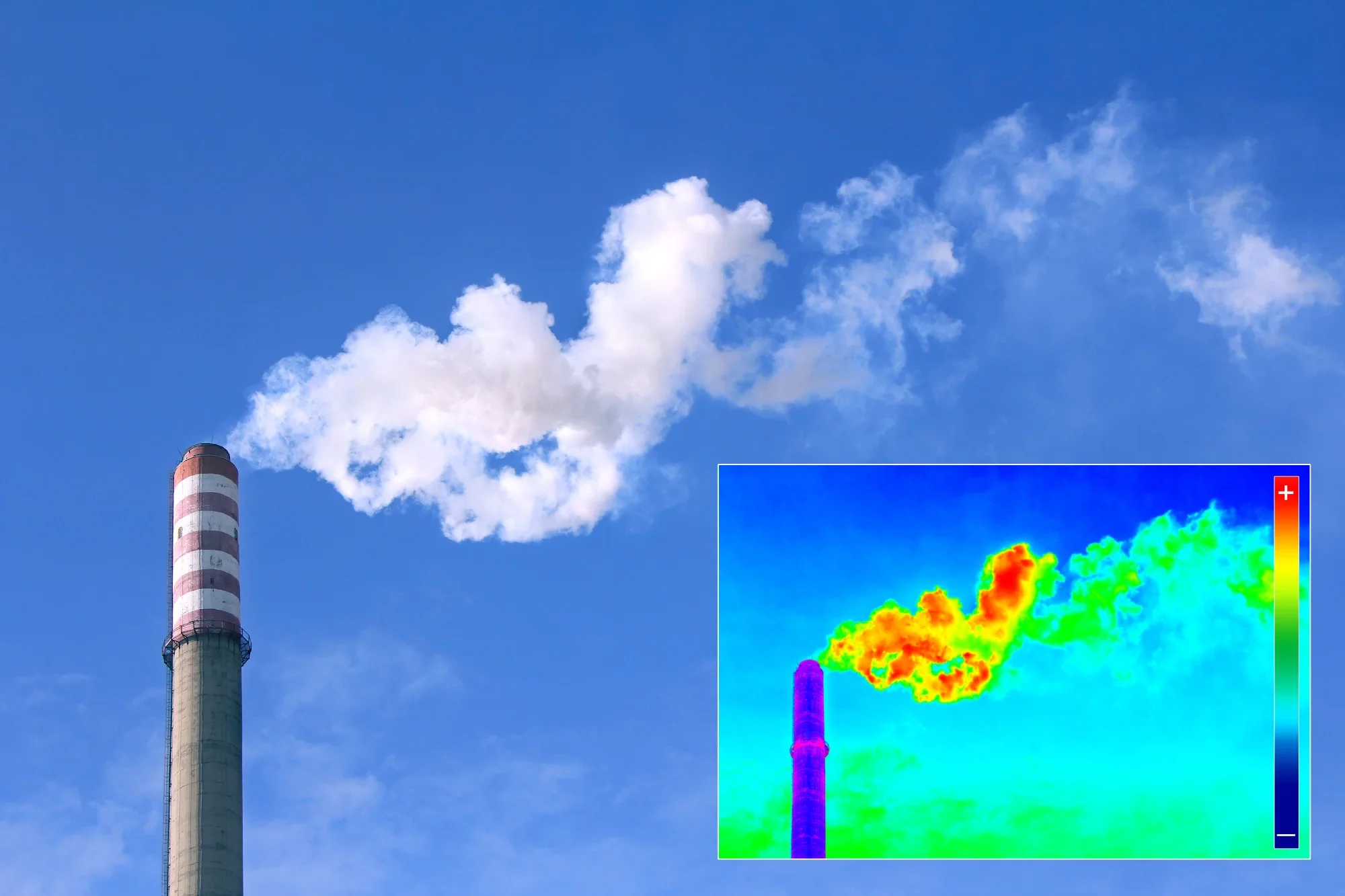 Image for Article